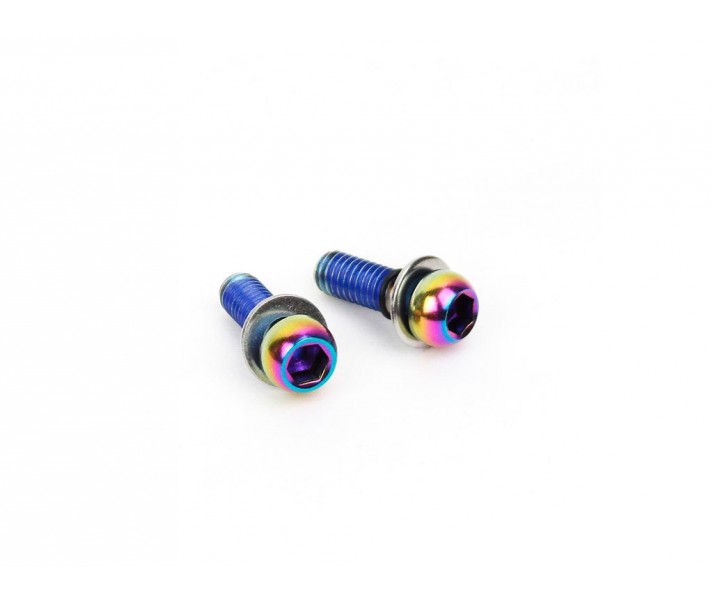 Kit de tornilllos para adaptadores de disco Sram Arcoiris (2uds)