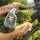 Spray Limpiador Total Bicicleta WD-40 500ml