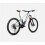 Bicicleta Orbea WILD M10 |R345| 2024