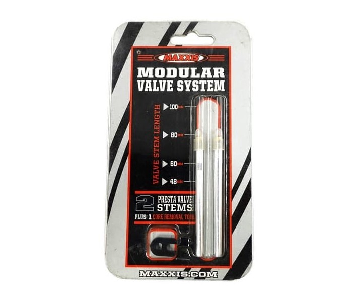 Maxxis Valve Extension 100mm Silver